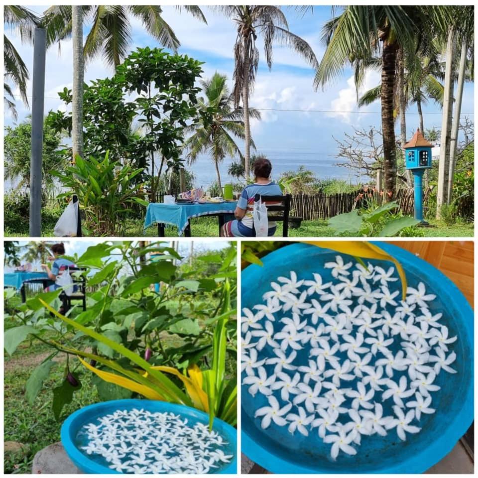 Tehan Homestay Диквела Стая снимка